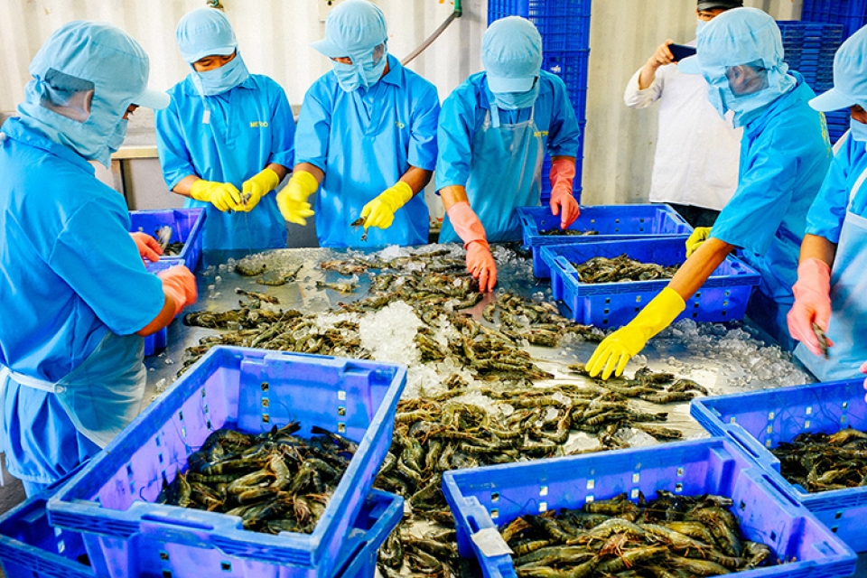 luong gio moi thuc day giao thuong giua viet nam va nhat ban