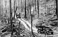 “Người không hát tình ca”: Tri ân những người lính Trường Sơn