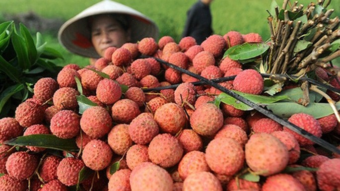 vai thieu hai duong sap co mat tren san thuong mai dien tu alibaba