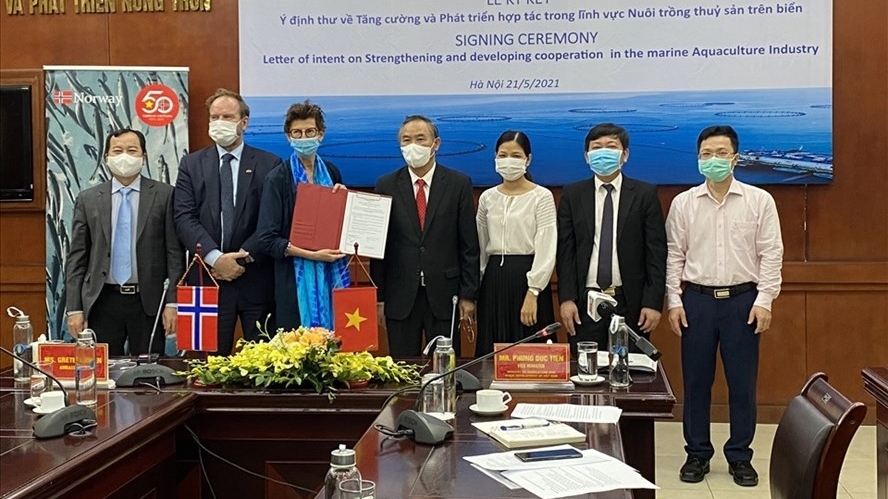 Na Uy chia sẻ kinh nghiệm trong ngành nuôi biển công nghiệp với Việt Nam