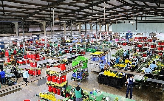 Xuất khẩu ngày 20-22/5: