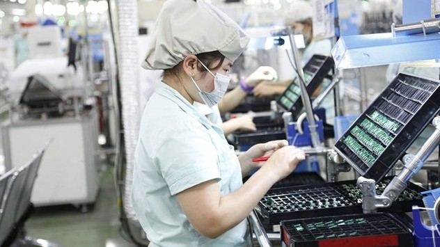 xuat khau ngay 27295 khoi fdi xuat sieu 103 ty usd thanh long viet hut khach tai australia va new zealand