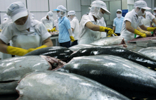 xuat khau ca ngu tang manh