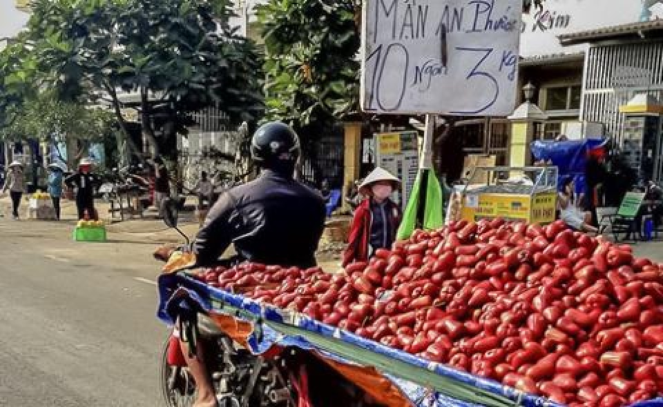 Khi nào mới hết “điệp khúc” được mùa mất giá? khi nao moi het diep khuc duoc mua mat gia