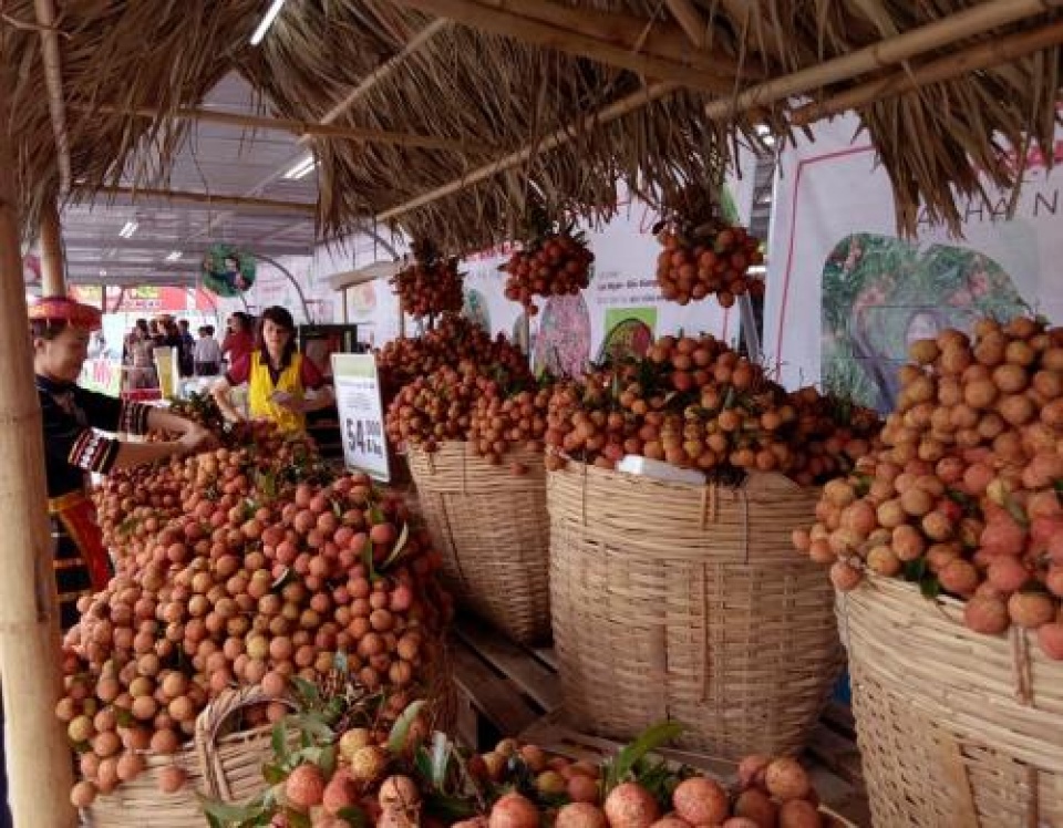 khai mac tuan le vai thieu luc ngan bac giang tai ha noi