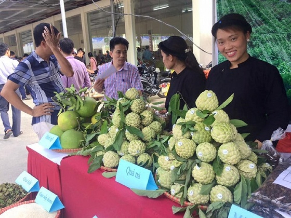 da nang dang cai agroviet 2018