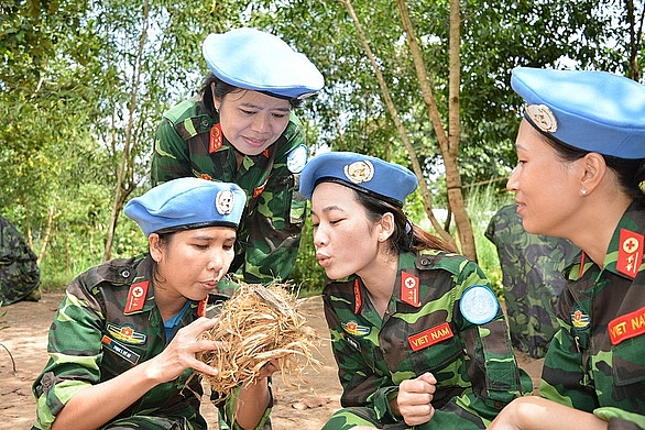 ung cu uy vien khong thuong truc hoi dong bao an viet nam co nhieu co hoi chien thang