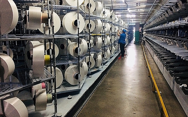 Theo số liệu của Ủy ban Thương mại Quốc tế Mỹ (USITC), tổng kim ngạch xuất khẩu PTY của Việt Nam sang thị trường Mỹ năm 2019 đạt 4,5 triệu USD. Theo số liệu của Ủy ban Thương mại Quốc tế Mỹ (USITC), tổng kim ngạch xuất khẩu PTY của Việt Nam sang thị trường Mỹ năm 2019 đạt 4,5 triệu USD.