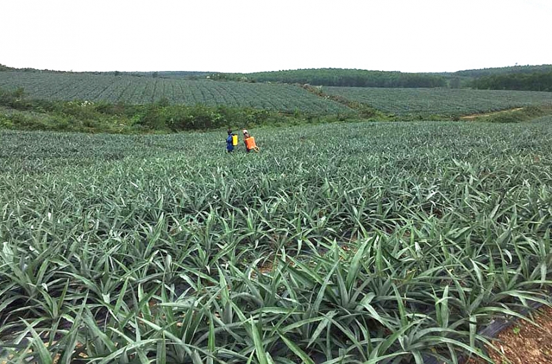 Giám đốc ADB: Vượt qua Covid-19, Việt Nam có thể đạt được mục tiêu kép trong năm 2021