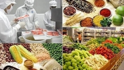 Việt Nam lần đầu tham gia đối thoại về hệ thống lương thực thực phẩm