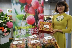 Vải tươi Việt Nam tại Australia được đấu giá lên tới 53 triệu đồng/kg