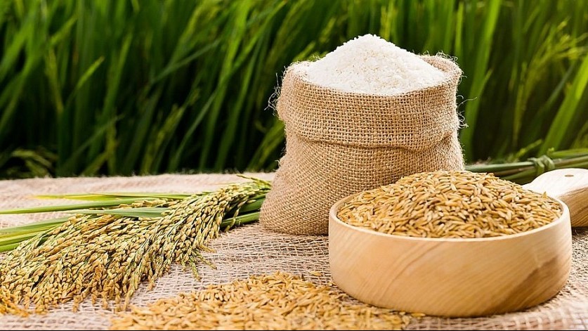 xuat khau ngay 6106 luot cao toc evfta gao viet danh bat gao thai tai thi truong bac au xuat khau chuoi sang trung quoc tang vot