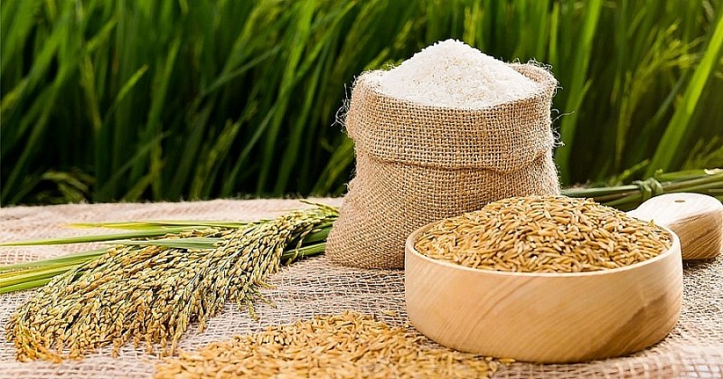 Xuất khẩu ngày 6-10/6: Lướt 'cao tốc' EVFTA, gạo Việt đánh bật gạo Thái tại thị trường Bắc Âu; xuất khẩu chuối sang Trung Quốc tăng vọt