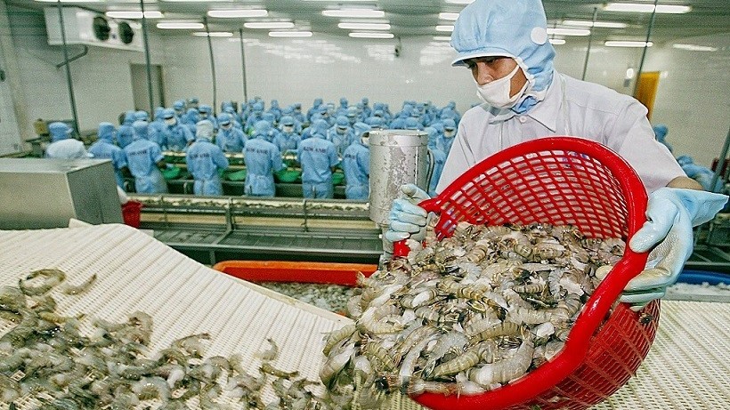 nhieu du dia cho doanh nghiep viet tai thi truong bac au