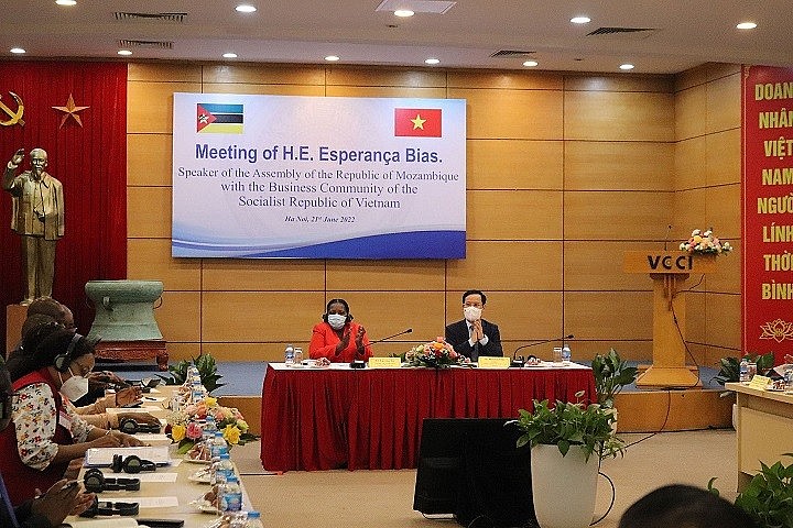Diễn đàn doanh nghiệp Việt Nam-Mozambique