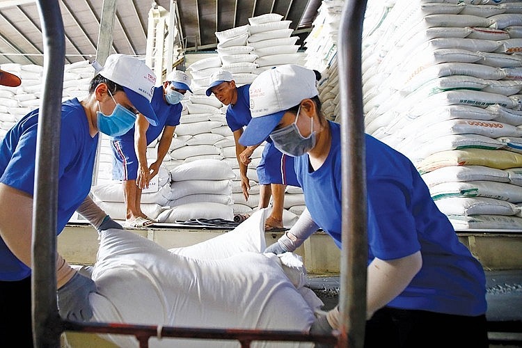 Xuất khẩu ngày 20-24/6: Khơi thông dòng chảy cho hạt gạo; UKVFTA 'tiếp sức' cho xuất khẩu Việt Nam sang Anh