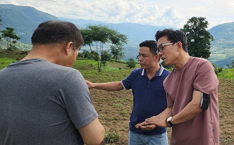 Kết nối chuyển giao công nghệ trồng sâm của Hàn Quốc cho tỉnh Điện Biên