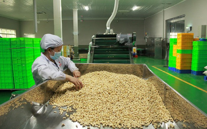 Xuất khẩu ngày 24-26/6: Hoa Kỳ 'giữ' ngôi vương về xuất khẩu thủy sản của Việt Nam; ngành điều hạ mục tiêu xuất khẩu