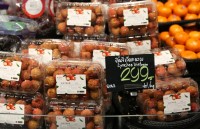 khai mac tuan le vai thieu luc ngan tai ha noi