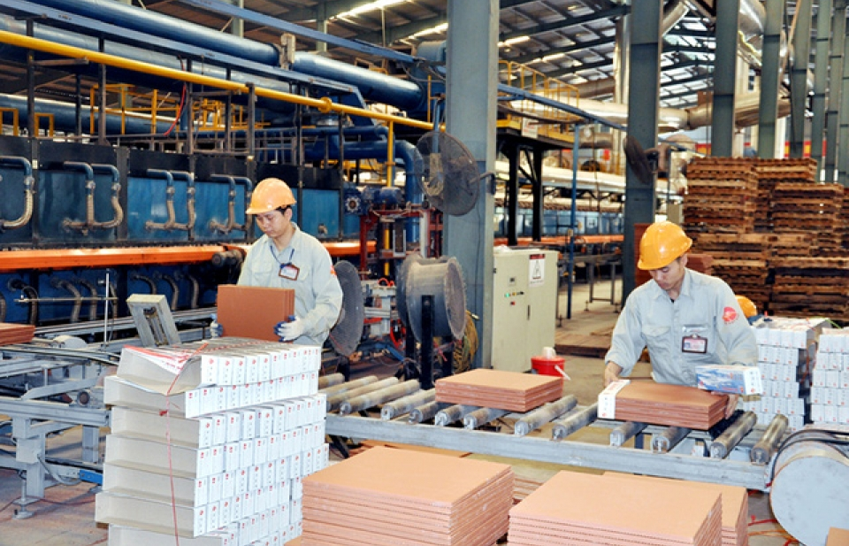 ho tro doanh nghiep vua va nho tham gia chuoi gia tri toan cau