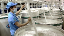 Việt Nam 'bỏ túi' thêm 1 tỷ USD nhờ tăng mạnh đơn hàng xuất khẩu xơ sợi