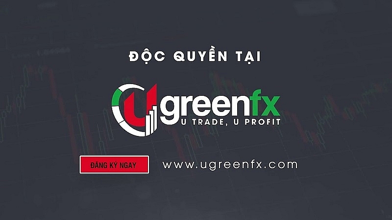 Cảnh báo chiêu trò lừa đảo đầu tư 50 triệu đồng thu về 1 tỷ đồng