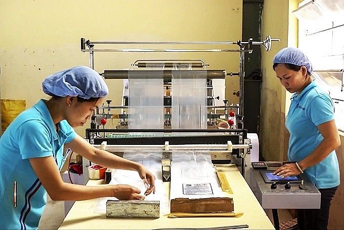 Hoa Kỳ hỗ trợ, tạo sức cạnh tranh cho ngành bao bì Việt