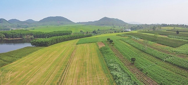 Cụm trang trại bò sữa TH: 'Nâng bước' nền nông nghiệp xanh