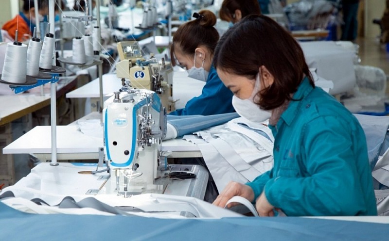 Xuất khẩu ngày 15-17/7: Xuất khẩu ngày 15-17/7: Đồng Euro mất giá, chuyên gia gỡ vướng giúp doanh nghiệp; đề xuất điều chỉnh thuế nhập khẩu xăng dầu