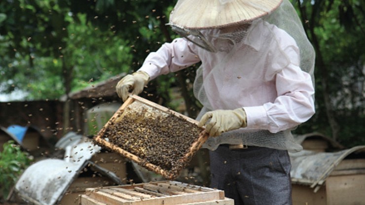 Xuất khẩu ngày 15-17/7: Đồng Euro mất giá, chuyên gia 'gỡ vướng' giúp doanh nghiệp; đề xuất điều chỉnh thuế nhập khẩu xăng dầu Xuất khẩu ngày 15-17/7: Đồng Euro mất giá, chuyên gia gỡ vướng giúp doanh nghiệp; đề xuất điều chỉnh thuế nhập khẩu xăng dầu