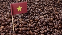 Nhiều dư địa cho cà phê Việt tại thị trường Trung Quốc