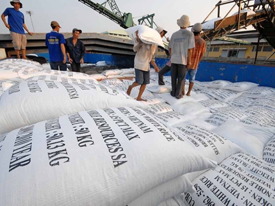 xuat khau gao co su chuyen huong manh ve co cau