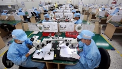 Doanh nghiệp đang ở trong tình thế cấp bách