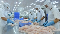 Năm 2030, Việt Nam phấn đấu đạt giá trị kim ngạch xuất khẩu thủy sản 14 - 16 tỷ USD