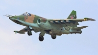 Gia tăng sức mạnh cho không quân, Ukraine tiếp nhận 4 cường kích Su-25 từ Macedonia