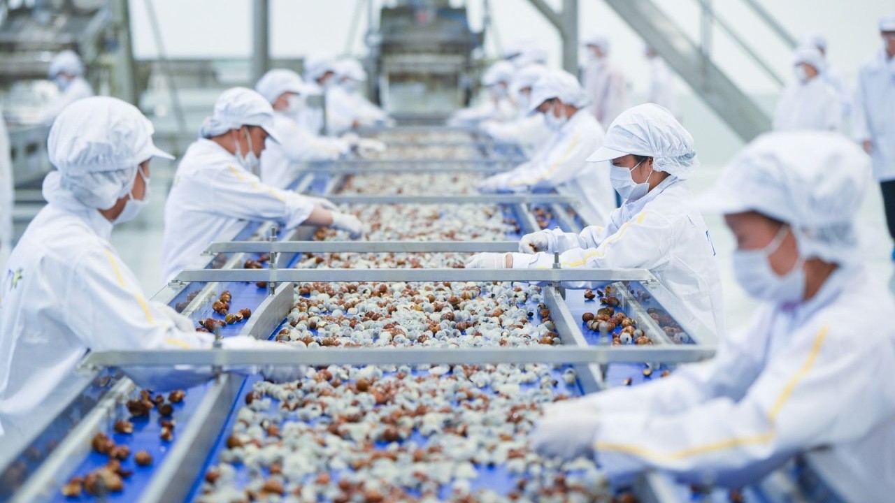 xuat khau ngay 578 thang 7 ca nuoc xuat sieu 74 trieu usd nganh thep viet nam lai vuong don phong ve thuong mai