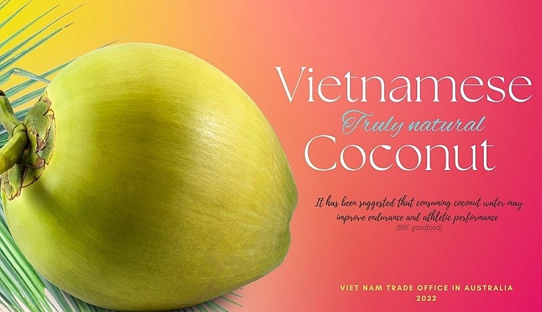 Xuất khẩu ngày 19-21/8: Dừa Việt Nam lần đầu góp mặt tại siêu thị lớn nhất Australia; các FTA trợ lực cho xuất khẩu cà phê