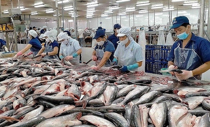 Xuất khẩu ngày 26-28/8: Tám tháng năm 2022, Việt Nam xuất siêu 3,96 tỷ USD; thị trường CPTPP chuộng cá tra Việt