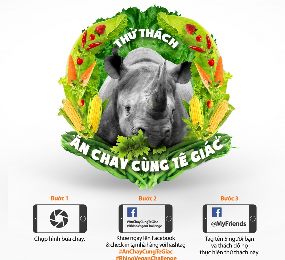 khoi dong thu thach an chay cung te giac