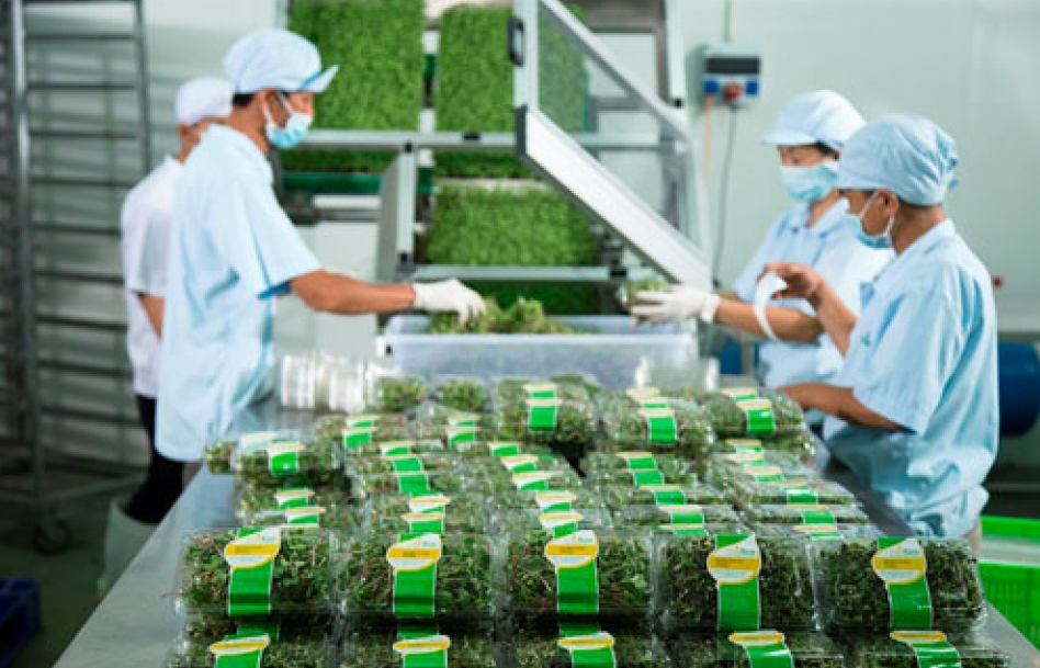 nong nghiep thang lon nho nghi quyet tam nong