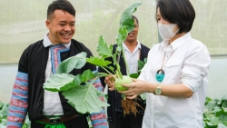 Nhiều nông dân đổi đời nhờ chương trình Sinh kế Cộng đồng