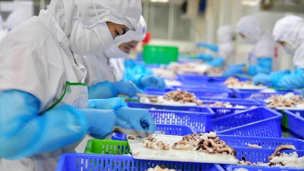 Chưa đến một nửa doanh nghiệp thủy sản đủ năng lực phục hồi sản xuất ngay sau giãn cách