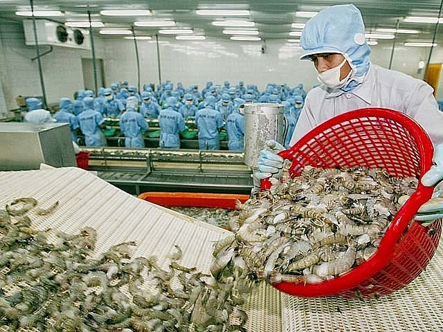 Tiến tới sống chung an toàn với Covid-19