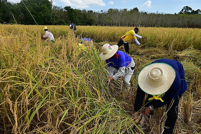Xuất khẩu ngày 2-4/9: Việt Nam 'ghi điểm' tại thị trường UAE; dệt may xuất siêu trên 12 tỷ USD Xuất khẩu ngày 2-4/9: Việt Nam 'ghi điểm' tại thị trường UAE; dệt may xuất siêu trên 12 tỷ USD