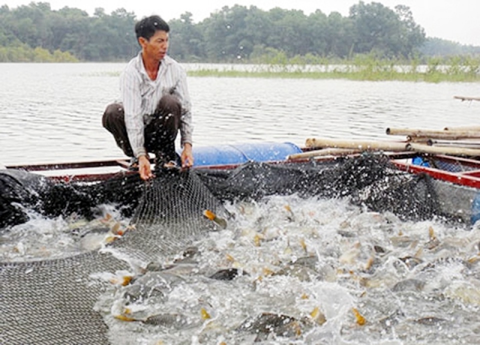 xuat khau thuy san vao eu bi phat nang neu khong hieu ro quy dinh