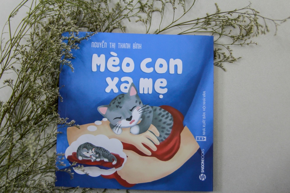 thong diep ve long yeu thuong trong meo con xa me