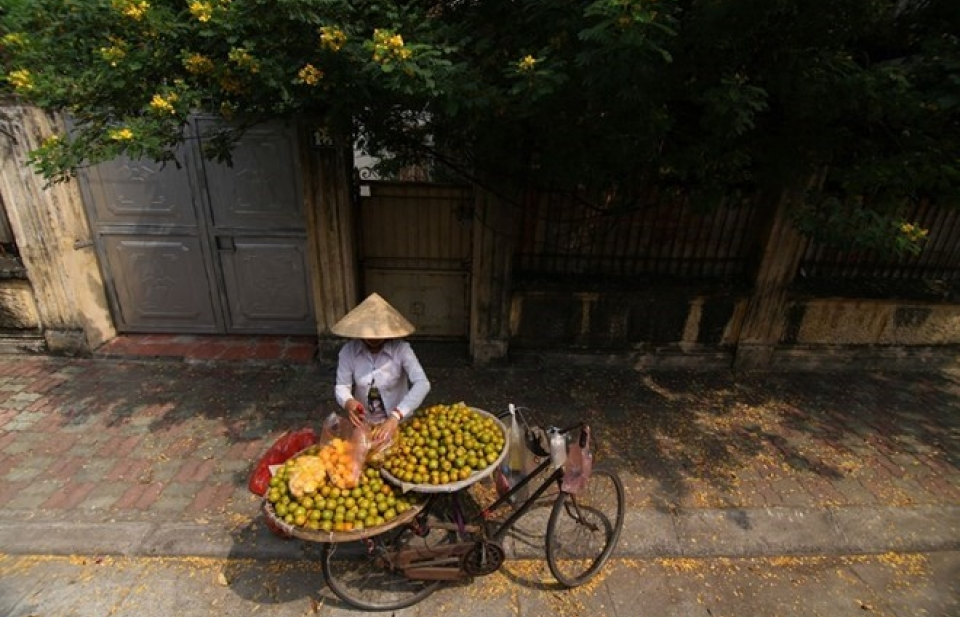 Bắc Bộ trời mát, Trung Bộ tiếp tục có mưa to và dông