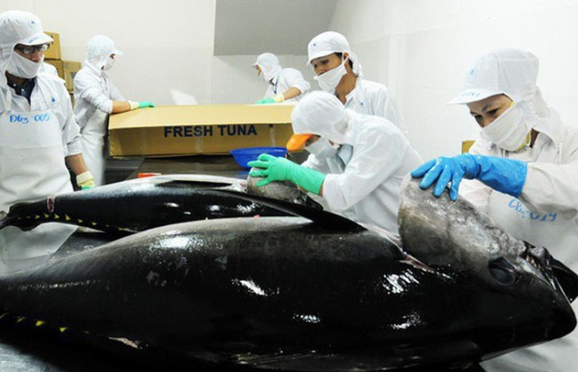 xuat khau ca ngu tang truong an tuong