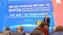 EVFTA: Nền tảng vững chắc, tạo sức bật mạnh mẽ cho thương mại đầu tư Việt Nam-EU