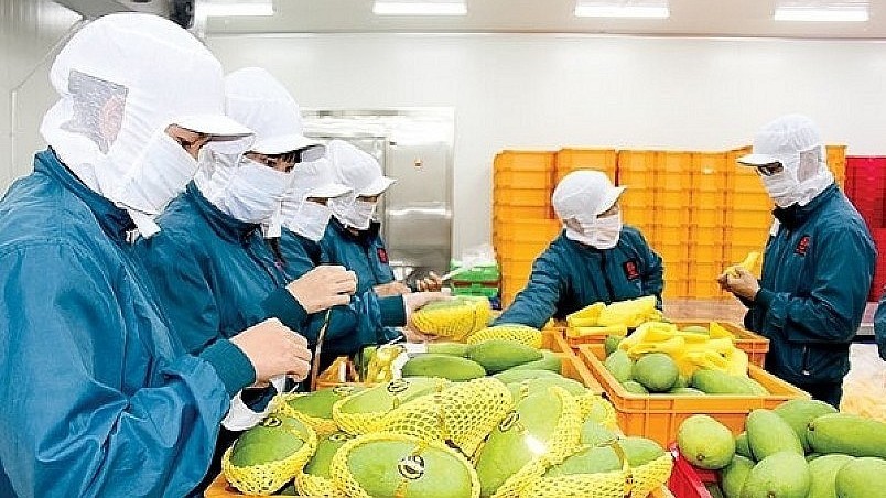 xuat khau ngay 252910 10 thang viet nam nhap sieu 145 ty usd xuat khau tang truong an tuong luc day thuong mai dien tu